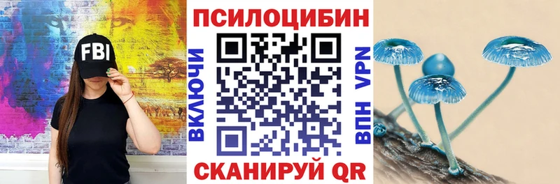 Купить где  Сосновка  Галлюциногенные грибы прущие грибы 